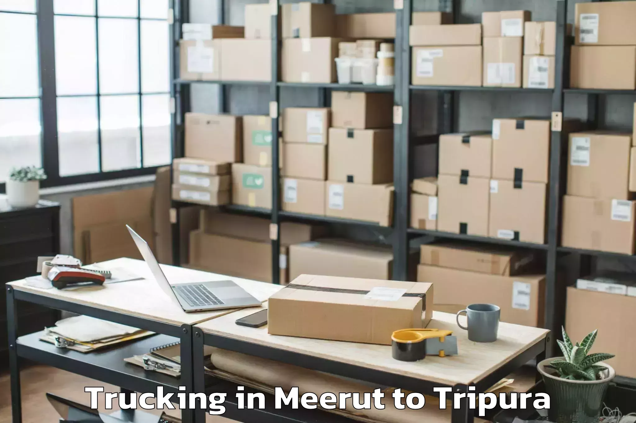 Leading Meerut to Dumburnagar Trucking Provider